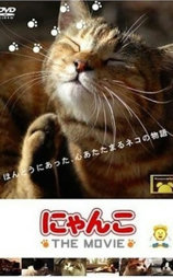 猫咪物语