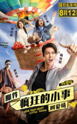 那件疯狂的小事叫爱情