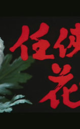 任侠花一轮