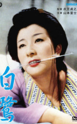 白鹭