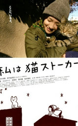猫咪跟踪狂