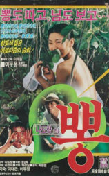 桑叶