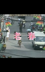 老春