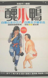 丑小鸭