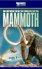 Discovery-长毛象重见天日 ( Raising the Mammoth)